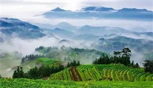 1761874681835433.jpg fceba98c84915ea5a69d381ecfad8e27.jpg