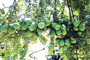 1762220486514693.jpg e7ddd3c1d7a95d9cc3a9ff8c9d1be1b6.jpg