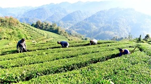 1762394755161897.jpg 953c9d2420ffceaf8327ae19a115aa53.jpg