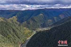 1762479193698007.jpg 2c80dba0987002919692be6ce400265e.jpg