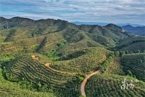 1762479820491827.jpg 22447b9c810cf40f3c7159815dcae358.jpg