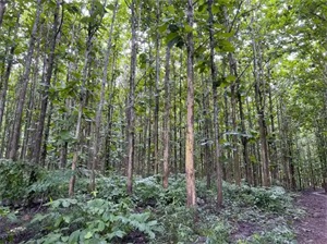 1763084171145831.jpg 03acd1a5ca9df69ee01bb4eedf74826b.jpg