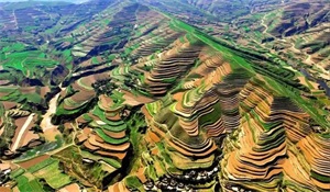 1763342584976749.jpg b1b3fb54658167b91d87a275e0f20d41.jpg