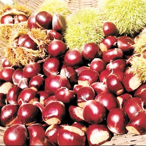 1763342959597845.jpg 2b59d8032412b3d6092808568da5f2e2.jpg