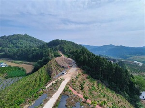 1763521314783051.jpg 16baa64419fbcf674ab484cc00a96c91.jpg