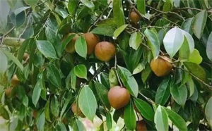 1764034324865051.jpg 47e8dcb143aab4501f32faac08bf1493.jpg