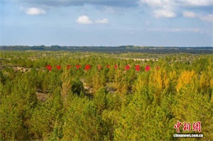 1764293511717023.jpg 9174e94086f0576ae6df0bd962e136a2.jpg