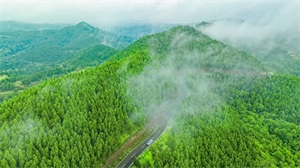 1764655731314574.jpg 6b188ab85c5152bbe6d3e1e1d3ed68be.jpg