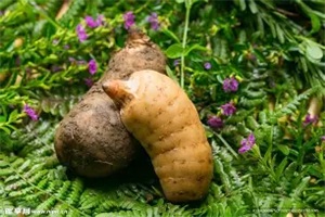 1765157548950935.jpg f6d615107f3f1cb2673d2ed87efc9302.jpg