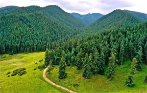 1765244576977882.jpg b3bcdc4bdebd558833451af577a6e315.jpg