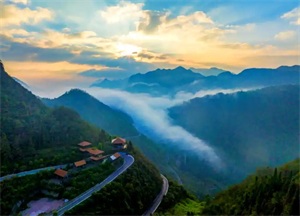 1765333293150409.jpg ff7f11399db9377cd3a041b989fe86df.jpg