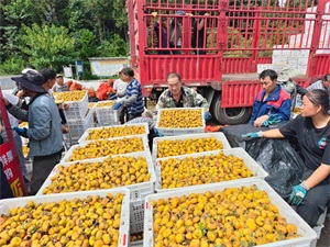 1765334967984815.jpg 73df41ff1dc9d355211f4e993e49f6d6.jpg