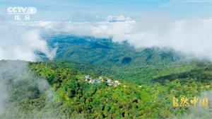 1765762932792289.jpg 4511d1982a1dbd74780f883fea89b23b.jpg