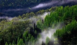 1765848086426095.jpg 452c8d2a930043e0e53610974cd55cc0.jpg