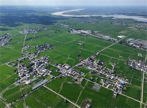 1765848896131254.jpg f5e862551e4e3bddc05dbba7f0940ce2.jpg