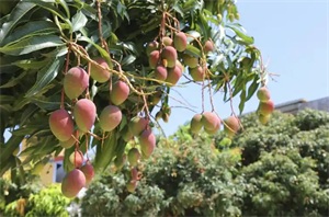 1765849065129278.jpg 26cf6d5b6e4118673a81e9729d573c7e.jpg