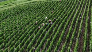 1765851420659553.jpg e4bacfb9e9f3cc65caee6b6eb43e0ef2.jpg