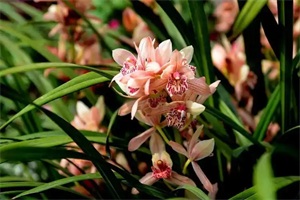 1766366664739676.jpg b498e9b6a07241099ccd8ed228726f20.jpg