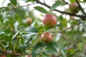 1767276713671269.jpg d24be9ce1ecae5316d5676551db4cc43.jpg