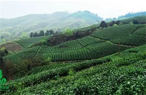 1767577141412586.jpg cdfb011cd1fb0b11b3b136e1417a1525.jpg