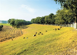 1767836532834850.jpg 2e499df8624eab0d45cce203e0fc77b5.jpg