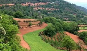 1768787224268057.jpg 6f4e3a6e5b1f1246528af3455841a081.jpg