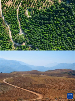 1768963646726785.jpg 601571cde810fd2de3ffeaf9b7072bc6.jpg