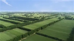 1769391383556350.jpg 6ecfed45536ce7dce176d1829168a126.jpg