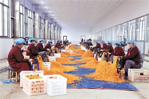 1769737704612055.jpg 4c57673f83acc608c8344c902cf19e7d.jpg