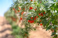 1770994247767876.jpg 69b1f1c94a42306848b835f9e60a645f.jpg