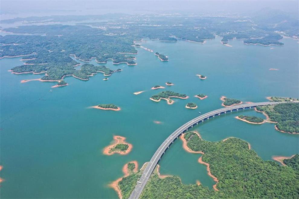 1771826716984597.jpg 29115935nt1o.jpg