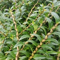 1772243870469630.jpg b062e075ed36dbb28a078571b33b6d2a.jpg