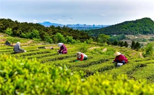 1773021313325388.jpg 8b37851f5d999a0c532fe9ea5c45e4b2.jpg