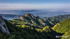 1773323498844299.jpg fcea1b116c2a2d2350bd4af66dcaff5e.jpg