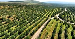 1773325291302069.jpg d3b0c3455761fbb37ad0f4d8cff85f14.jpg