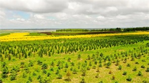 1773624641385222.jpg 81b2b6bfada52e6a0407180c09b6db3f.jpg