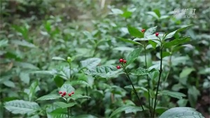 1773713368981390.jpg 2c717a797b6ac49ab2ca7653e768dc67.jpg