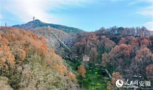 1773817167760203.jpg 64285fc0e56a3bcdc70f0347dfc286b5.jpg