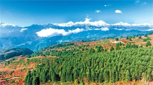 1773899575112730.jpg 8aa16244dcb6a0bf5f6cf7ea4f2a1433.jpg