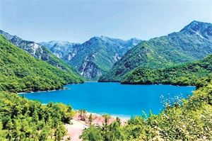 1773975653298486.jpg d4b2dd02423aa14ce289c1caa6dc9169.jpg