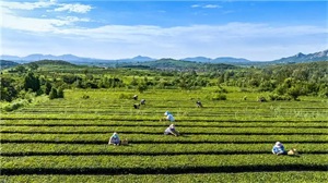 1773976082564254.jpg fb871eac4f0b2416090c04e0fb07ff12.jpg