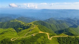 1774253535263047.jpg a69928c05ca5cfca91623c37f7b3b646.jpg