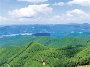 1774490459789238.jpg cad42f5d180cd35fc3591a1abb08dadd.jpg