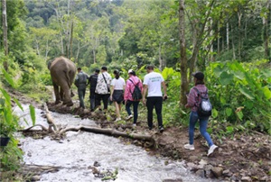 1774492212883859.jpg f605f801ed18fb699048d0e546c90e77.jpg