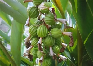 1774493312261054.jpg 9416d923c880251848373cfce978738c.jpg