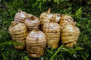 1774493494599526.jpg 43ad369cf437aaf903b44c1045e5ca59.jpg