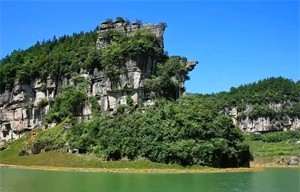 1774575298267525.jpg c181acc96dac6fc4dc3df8fce5c75f36.jpg