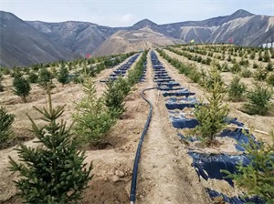 1774927174968999.jpg 127de98c35b3aa6f6a9525481a5adadf.jpg