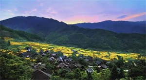 1775188573352673.jpg 924bd924b2d6437b14b6c49715e2e83e.jpg