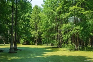 1775544439756637.jpg e58d13e89d419c2302c10e75433d7451.jpg